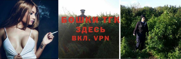 амф Гусев