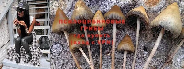 mix Гусь-Хрустальный