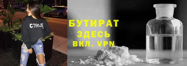 амф Гусев