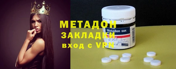 амф Гусев