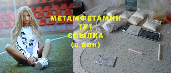 амф Гусев