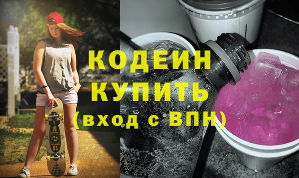 амф Гусев