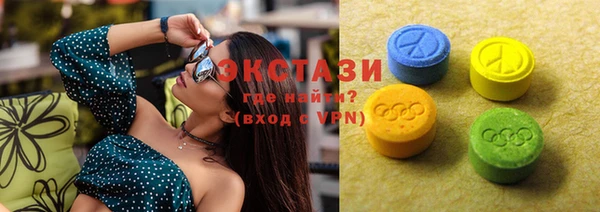 амф Гусев