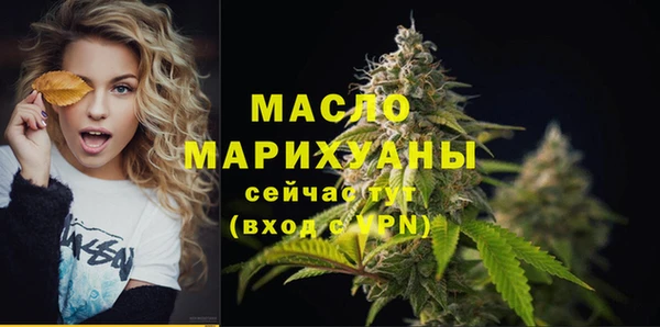 амф Гусев