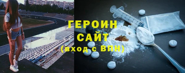 амф Гусев