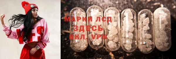 амф Гусев