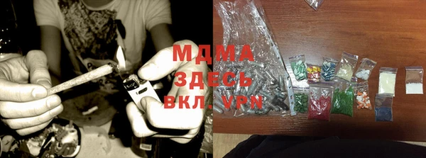 амф Гусев